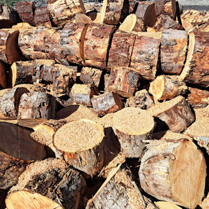 Arena para gatos de madera de pino sin polvo, viga de pino, madera con ranura y tablero absorbente de sonido para construcción - Product Image 1