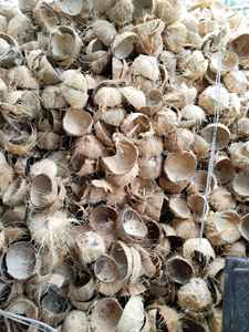 กะลามะพร้าว, กะลามะพร้าวบดชิปสําหรับทําถ่านบาร์บีคิว - Product Image 6