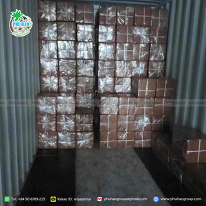 PRODUIT CHAUD TOURBE DE COCO du Vietnam Milieu de culture écologique qui favorise une vie végétale résiliente et dynamique - Product Image 5