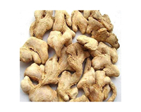 Gingembre frais séché de haute qualité Prix du marché par tonne Acheteurs en gros de gingembre pour l'exportation Gingembre jaune de qualité supérieure