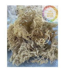 สาหร่ายยูเชียมาคอตตอนนีแห้งปรุงรส คุณภาพสูง ส่งออกจากเวียดนาม บรรจุถุง จำหน่ายส่งที่เชื่อถือได้ - Product Image 4