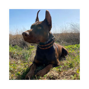 Collar de Cuero Occidental Grueso de 2 Pulgadas de Ancho para Perros Grandes Mariner, Collar de Perro Elegante con Tachuelas de Cristal y Trenzado Acolchado Suave - Product Image 3