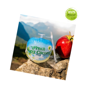 Jeune noix de coco fraîche avec des plats de fête traditionnels Shell How-to Guide - Product Image 1