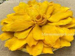 มะม่วงอบแห้งหั่นชิ้นจากเวียดนาม ราคาคุ้มค่า รสหวาน กระบวนการอบแห้งแบบ AD อบแห้งด้วยอากาศ อายุการเก็บรักษา 12 เดือน - Product Image 3