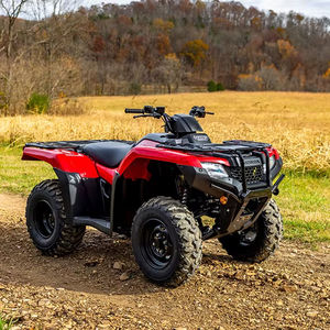 Offre annuelle 2024 - Honda Fourtrax Ranchers ES TRX420TE1R - Nouvelles motos - Product Image 1