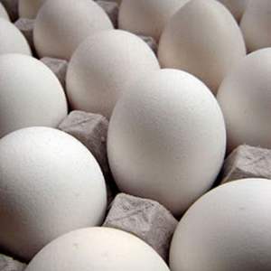 Huevos de mesa con cáscara blanca de granja fresca premium a la venta - Product Image 6