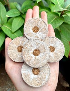 Premium Coconut <b>Coir</b> Pellets <b>Block</b> | Biodegradable Growing Medium | High Water Retention | Low EC - Product Image 4