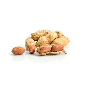 Cacahuetes Raw Fresh Calidad Cacahuetes orgánicos crudos Tuerca molida en cáscara - Product Image 4