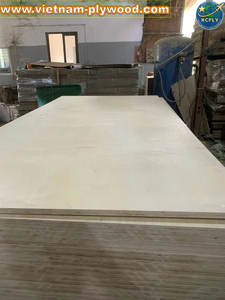 Fabricante de contrachapado de Vietnam, exportador OEM disponible, núcleo fuerte interior de contrachapado de abedul, grosor de 1220x2440 para uso en almacén - Product Image 3