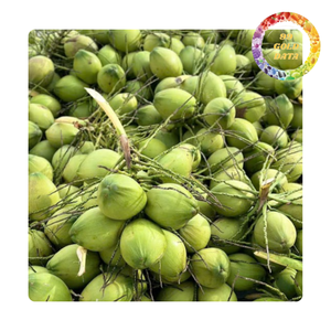 Coco fresco empaquetado OEM | Fácil de abrir con pajita, bebida de coco natural tropical al por mayor - Product Image 5