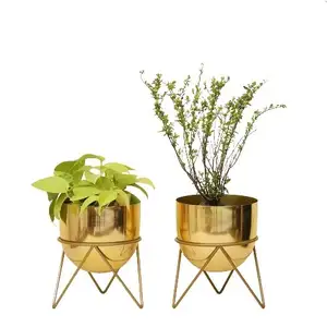 EUROPEAN STYLE BEST Quality Luxury Gold FINESHED and Floral Planter with Stands for Sale with best deal