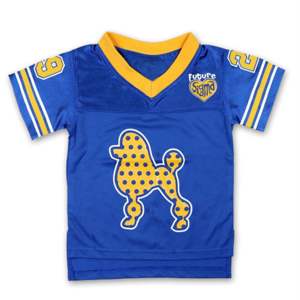 Maillot de football pour enfants SGR-Royal | 100% Polyester Sigma Gamma Rho Youth Jersey Boucliers et patchs de broderie | Vêtements de sororité - Product Image 1
