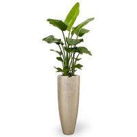 Set Pot Tanaman Logam Modern dengan Penyangga - Pot Bunga Aluminium Tinggi untuk Dalam Ruangan dengan Penyangga Besi untuk Dekorasi Rumah
