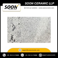 Dalle de granit blanc flammé moderne pour comptoirs, mosaïques, applications murales et de sol intérieures et extérieures