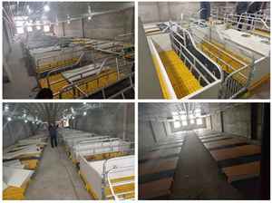 Gran oferta, cama de parto de cerda galvanizada para cría de cerdos, 1 año de garantía, jaula de maternidad para guardería, nueva condición - Product Image 4