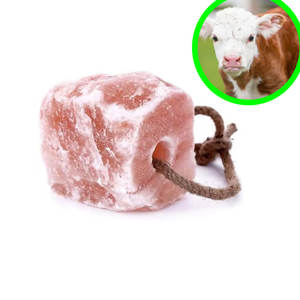 खेत मवेशी लवण | बैलों के लिए प्राकृतिक हिमलयान ब्लॉक - Product Image 3