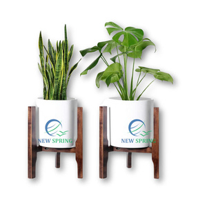 Modern Design Eco-Friendly Pine Wood Durable Plant Stand High Quality Indoor <b>Garden</b> Decorative <b>Supplies</b> New Spring Brand - Product Image 4