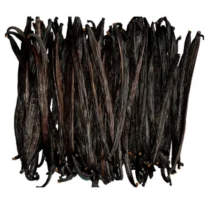 批发马达加斯加香草豆-整个特级美食香草豆荚16.5厘米长
