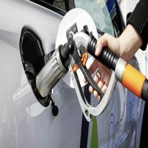 Pompe GLP 2A Brand Punto TWO, buse de type ACME, galvanisée ou en acier 430, 1, 2 ou 4 pistolets, toutes couleurs, 2A Prima Meter, certifiée CE - Product Image 5