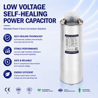 Condensateur de puissance cylindrique auto-réparateur monophasé basse tension 10 kvar 250 V pour applications industrielles à phase divisée