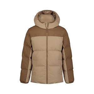 Winter Warm Woolen <b>Puffer</b> <b>Jacket</b> Stand Collar Anti-Bacterial Breathable <b>Light</b> Padded Hoodie Shiny Standard Thickness 2026 - Product Image 1