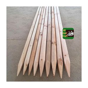 Poteaux en bois d'eucalyptus robustes pour l'agriculture, le soutien des jardins, les clôtures, l'aménagement paysager extérieur, la construction, durables, fourniture du Vietnam - Product Image 6