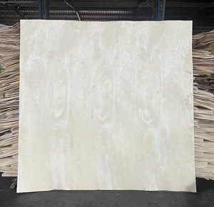 Le contreplaqué de construction de qualité commerciale 1270x640 lambrisse des chaises de restaurant de conception moderne pour des dimensions de projets d'école de villa - Product Image 2