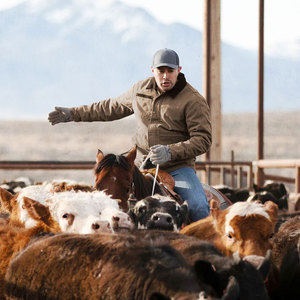 Chaquetas de Lona para Hombre de Invierno, 100% Algodón, Cuello Mao, Color Sólido, Diseño Personalizable, Fabricante de Pakistán - Product Image 2