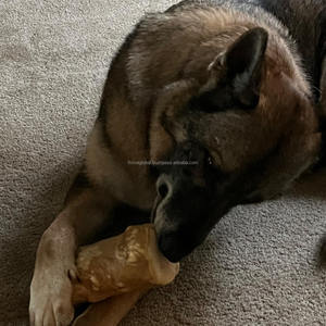 Inspiré des formes naturelles des racines, ce jouet à mâcher en bois de café favorise le nettoyage des dents, réduit le stress et garde les chiens occupés. - Product Image 4