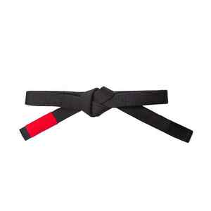 Vente en gros de matériel de karaté à bas quantité minimale de commande Ceintures d'arts martiaux de couleur personnalisée Ceinture de karaté/taekwondo 2025 - Product Image 3