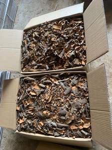 เปลือกต้นแคสเซียเวียดนามแบบสด/Kaneelboom/ Cinnamonum-มาตรฐานส่งออก - Product Image 3