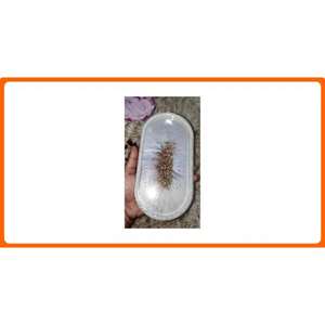 Plateau en résine à surface dure de qualité fiable avec des formes ovales rondes de conception faite à la main pour des collations de cadeaux de fournisseur indien - Product Image 2