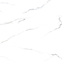 Carreaux de sol en céramique de décoration artificielle gris Code SH 60x60 Effet marbre Types de revêtements de sol en porcelaine Carreaux de sol en marbre