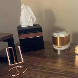 Boîtes à mouchoirs en métal à faible coût qui ne compromettent pas la qualité Idéal pour un ajout élégant mais économique à leur maison - Product Image 6