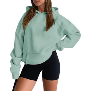 Sweat à capuche à épaules tombantes vert sauge pour femmes, sweat-shirt de couleur pastel, polaire doux, pull personnalisé, style streetwear surdimensionné - Product Image 1