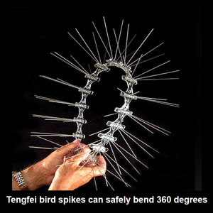 Picos para pájaros <span class=keywords><strong>de</strong></span> acero inoxidable, 50cm, picos ANTIPALOMAS | Disuasorio <span class=keywords><strong>de</strong></span> aves <span class=keywords><strong>de</strong></span> grado comercial para alféizares <span class=keywords><strong>de</strong></span> techo <span class=keywords><strong>de</strong></span> jardín | 10 unids/caja - Product Image 3