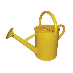 Regadera de metal diseñada para la riego regular de las plantas, que ofrece un flujo suave y controlado y un agarre firme y fácil. - Product Image 1