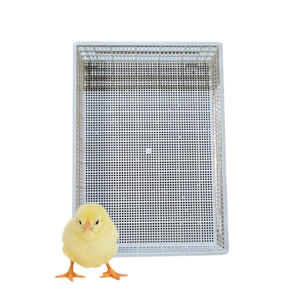 Rollo de suelo de listón de plástico, nuevo diseño de alta calidad para equipos de cría de aves de corral, personalización hecha en Vietnam, fabricante - Product Image 1