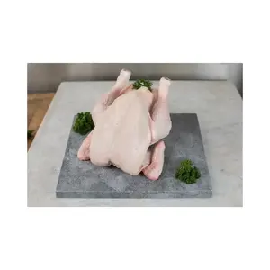 Bester Preis hochwertiges halal-gefriertes Huhn Großhandelspreis beste Qualität halal-gefriertes Huhn