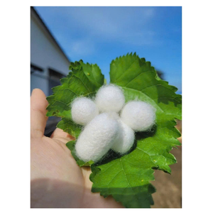 High Purity <b>Silkworm</b> Cocoon Natural Color Yellow White Raw <b>Silkworm</b> Cocoon Ideal for Silk Yarn Herbal Skincare and Textile - Product Image 5
