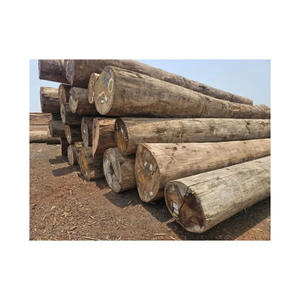 Approvisionnement en vrac de grumes wengé solide fourni avec une livraison fiable - Product Image 5