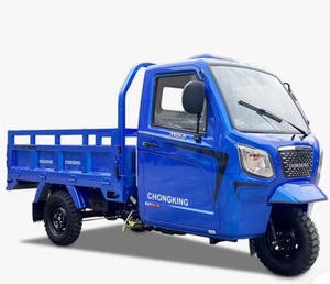 Tricycle cargo à cabine à essence Dayang Stable Balance 200cc neuf - Product Image 1