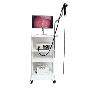 Fabriek Prijs Endoscopische Camera Gastro-Intestinale Endoscopie 6.3Mm Video Endoscoop Veterinaire Endoscoop Hond Kat