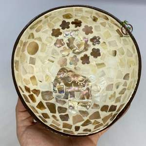 Divers modèles bol en coquille de noix de coco en laque polie colorée décor de camping élégant avec différents styles disponibles - Product Image 1