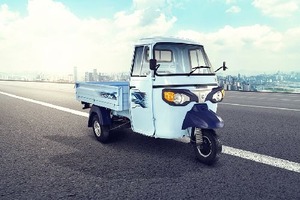 Vehículo de Carga de 3 Ruedas de Alta Calidad, Tuk Tuk Francés Personalizado, Rickshaw Eléctrico de Carrocería Abierta de 60V 251-350W - Product Image 2