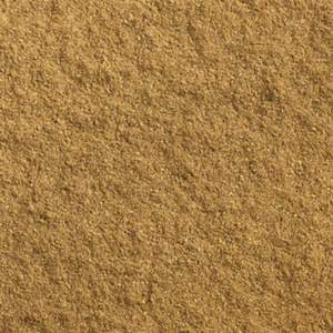 Poudre de cumin indien biologique premium, crue et séchée, 100% pure, qualité alimentaire, épice en vrac, export, emballage OEM, étiquette propre, 24 mois - Product Image 5