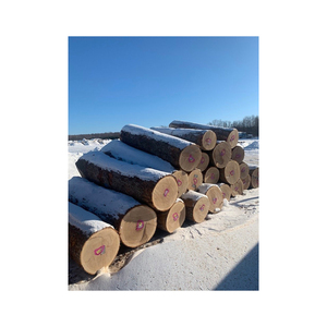 Madera de roble y haya, leña de troncos/manglares, leña de madera dura en venta, leña de madera dura, leña de abedul, roble y - Product Image 2