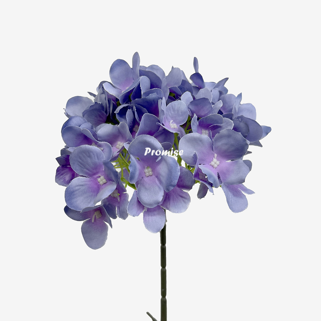 PLF-157-6