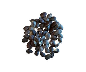 Savoureux qualité supérieure meilleur taux Offre Spéciale fraîcheur FRAIS GRAINES DE FRUITS DE PASSION 1kg - Product Image 4