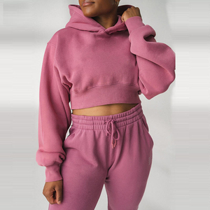 Sudadera con estampado liso de Terry francés de algodón de alta calidad, Top corto con logotipo personalizado, sudaderas con capucha para mujer - Product Image 2